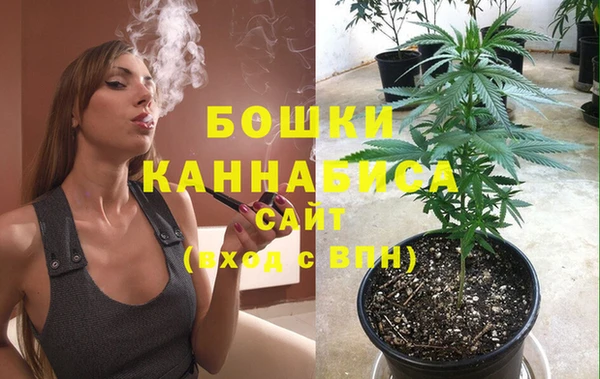 сатива Аксай