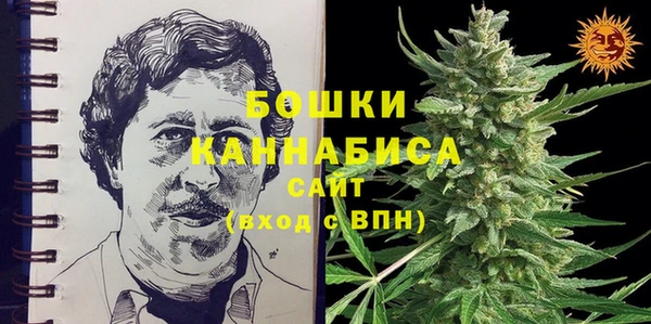 гашик Михайловск