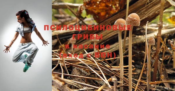 прущая мука Бердск