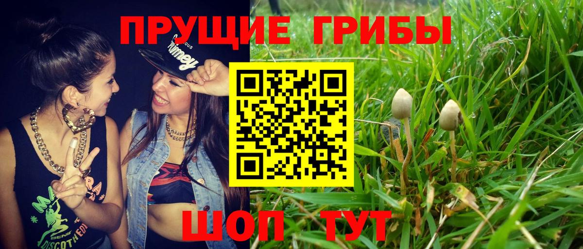 Галлюциногенные грибы мицелий  Вход с VPN  Радужный  Галлюциногенные грибы GOLDEN TEACHER 